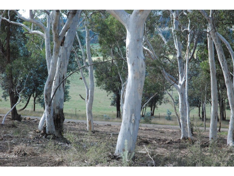 52 Red Hills Road, Marulan NSW 2579