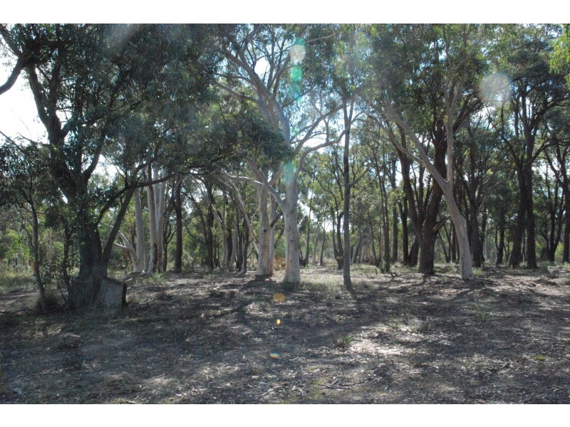 52 Red Hills Road, Marulan NSW 2579