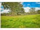 125 Mulhollands Road, Picton NSW 2571
