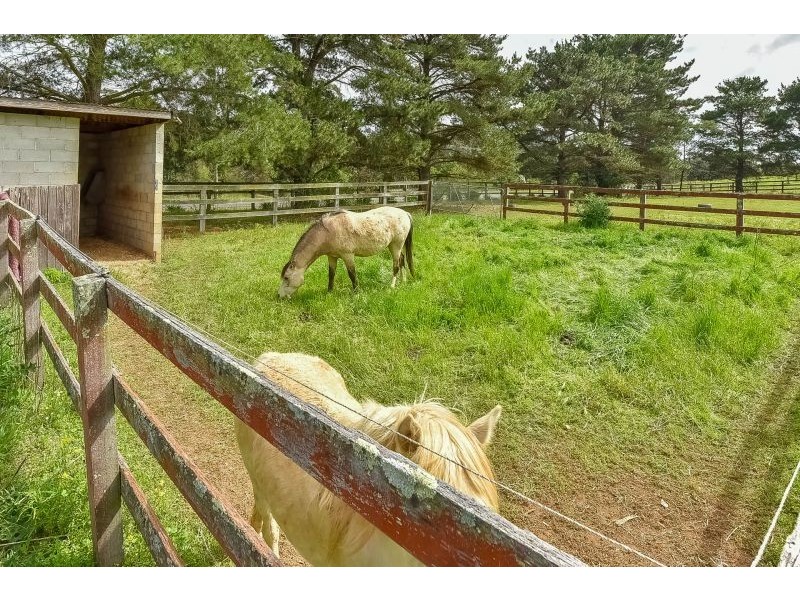 125 Mulhollands Road, Picton NSW 2571