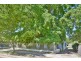 80 Westbourne Avenue, Thirlmere NSW 2572
