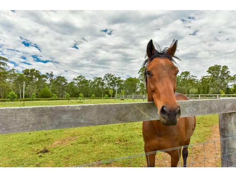 520 Arina Road, Bargo NSW 2574