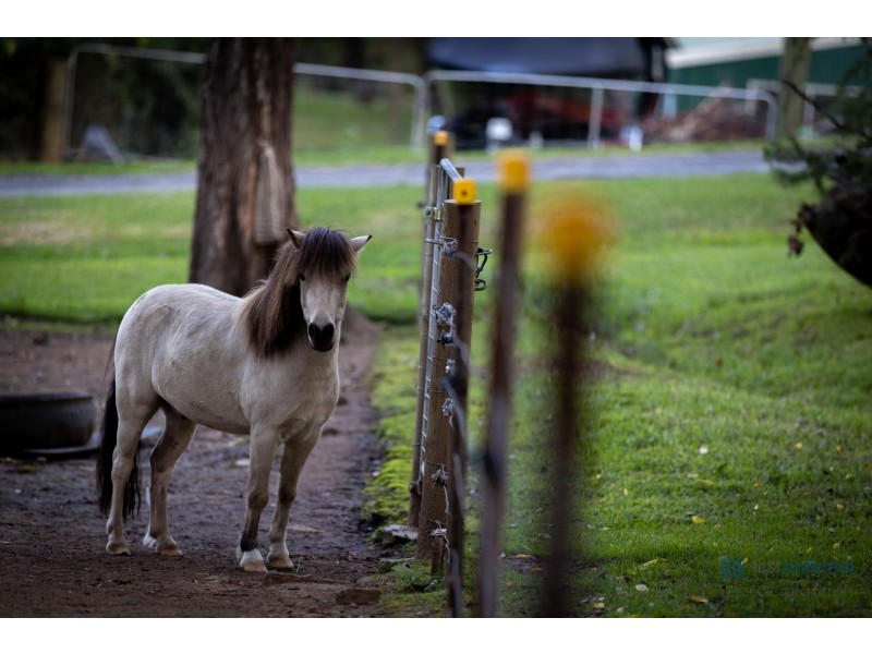 38-40 Picton Avenue, Picton NSW 2571