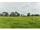 Lot 178, 40 Marion Street, Thirlmere NSW 2572