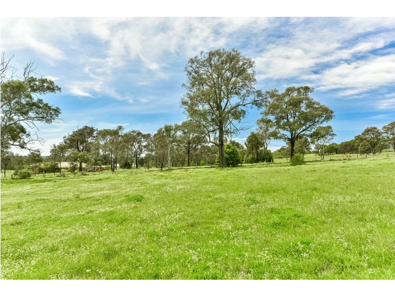 Lot 169, 40 Marion Street, Thirlmere NSW 2572