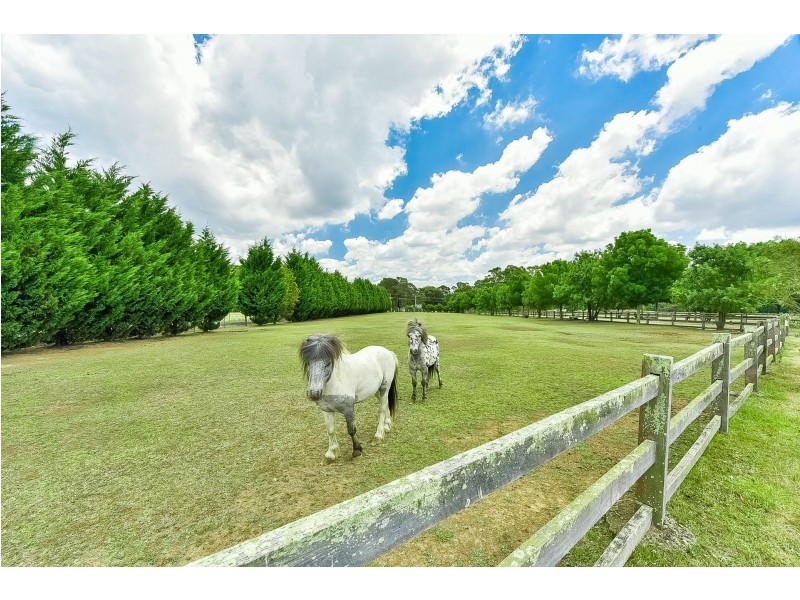 175 Arina Road, Bargo NSW 2574