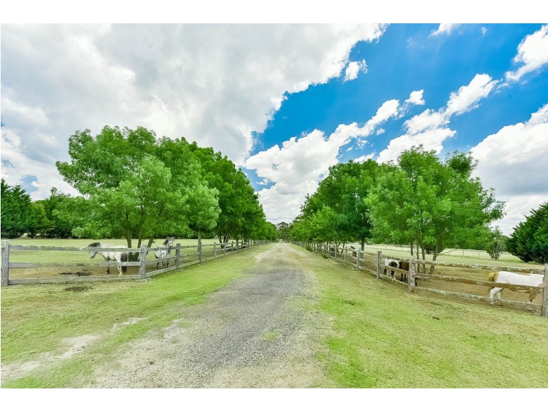 175 Arina Road, Bargo NSW 2574