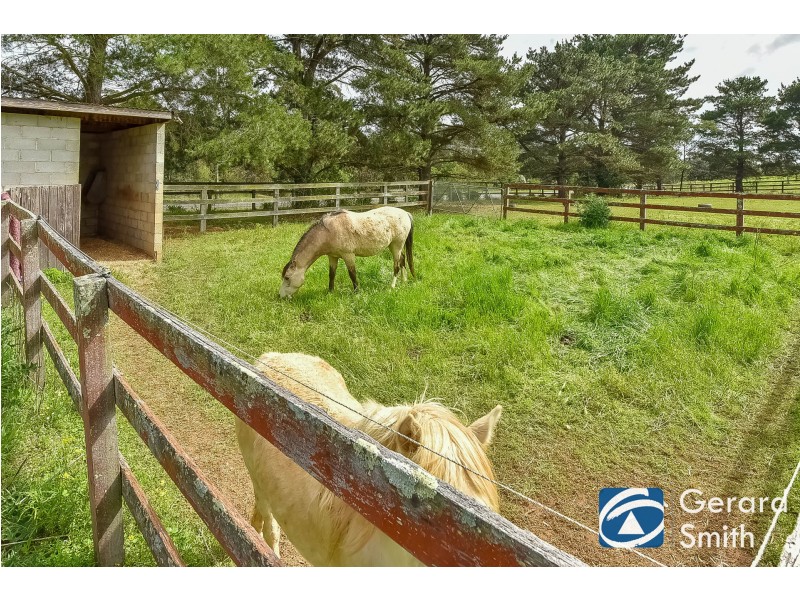 125 Mulhollands Road, Picton NSW 2571