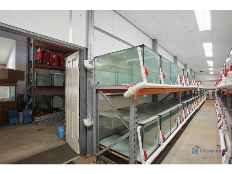 6-8 Wonson Street, Wilton NSW 2571