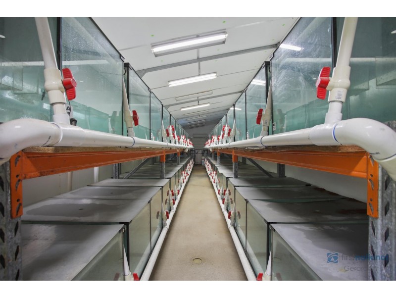 6-8 Wonson Street, Wilton NSW 2571