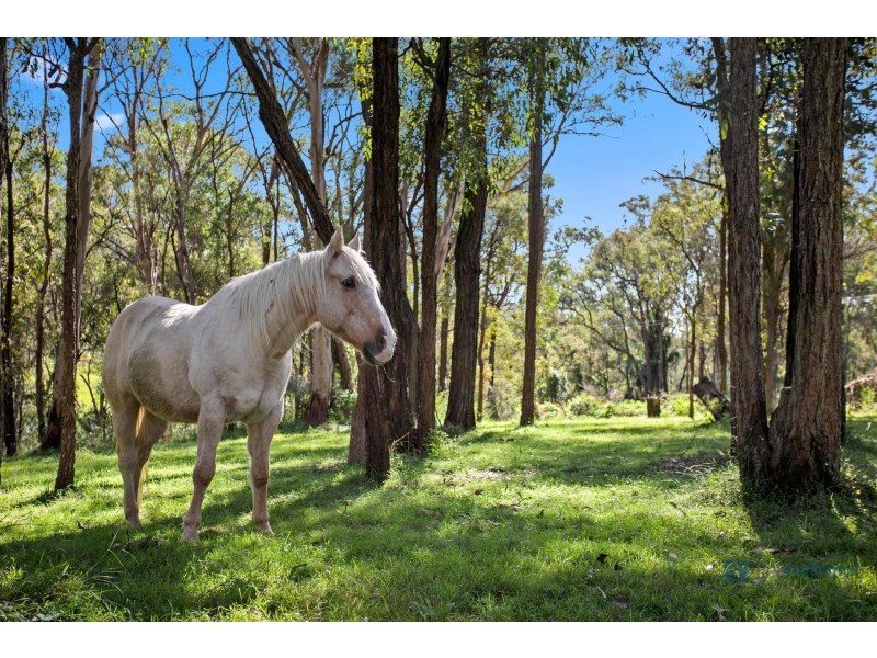 180 Pheasants Nest Road, Pheasants Nest NSW 2574