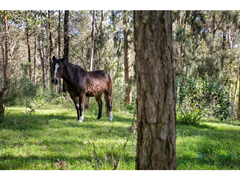 180 Pheasants Nest Road, Pheasants Nest NSW 2574