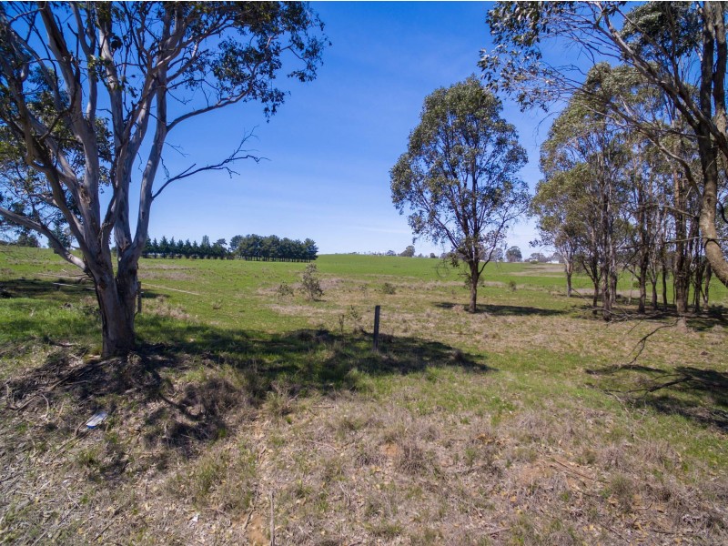 145 Condell Park Road, Wilton NSW 2571