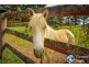 125 Mulhollands Road, Picton NSW 2571