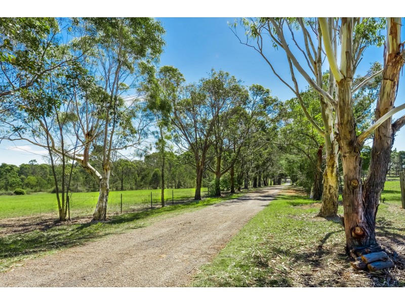 85 Lisa Road, Wilton NSW 2571