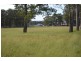 50 Knox Road, Pheasants Nest NSW 2574