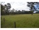50 Knox Road, Pheasants Nest NSW 2574