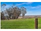165 Donalds Range Road, Razorback NSW 2571