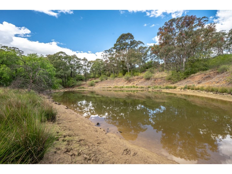 285 Carrolls Road, Menangle NSW 2568