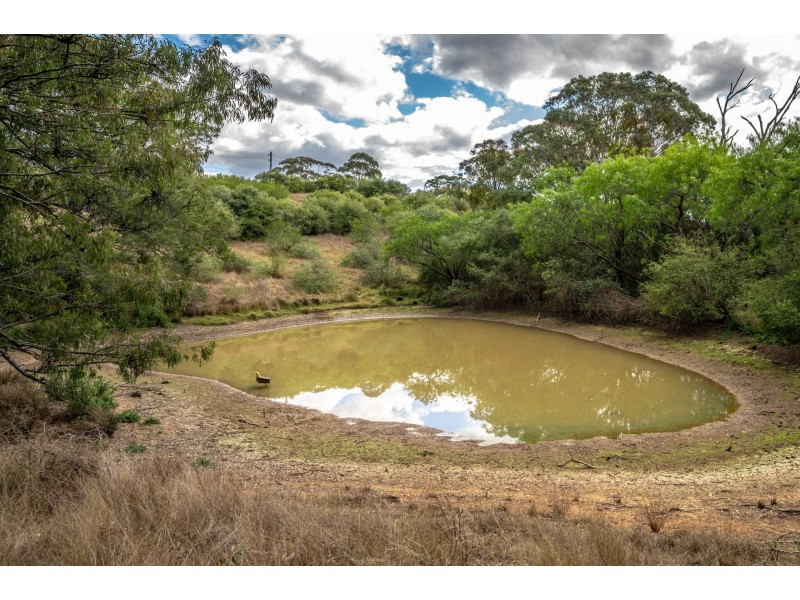 285 Carrolls Road, Menangle NSW 2568