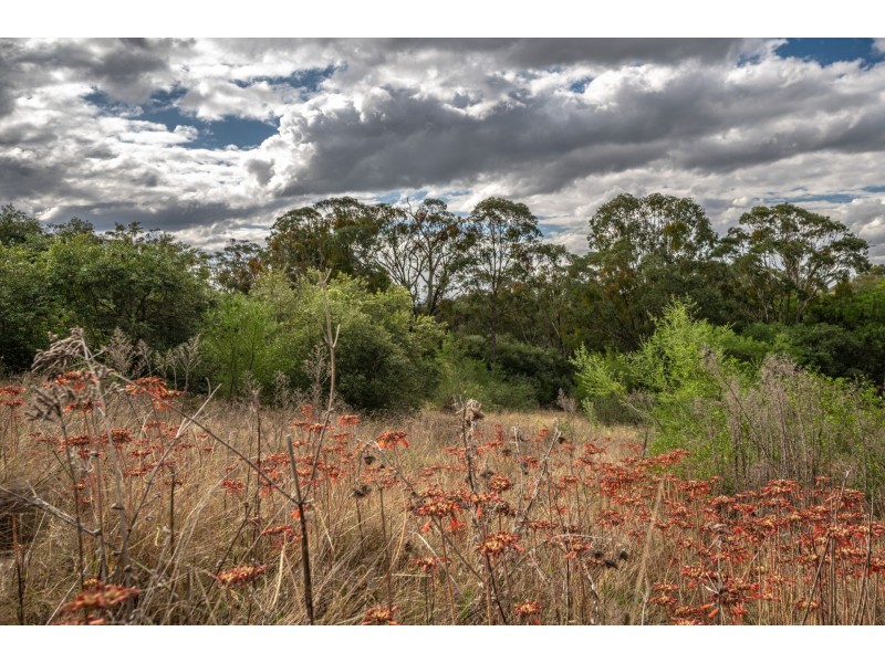 285 Carrolls Road, Menangle NSW 2568