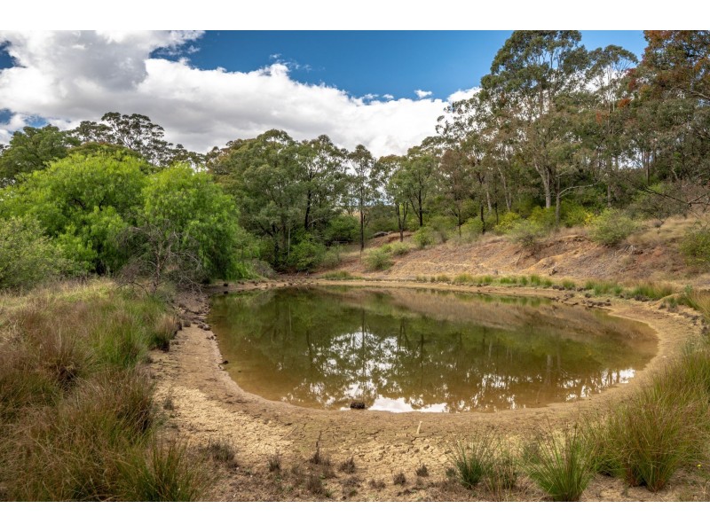 285 Carrolls Road, Menangle NSW 2568