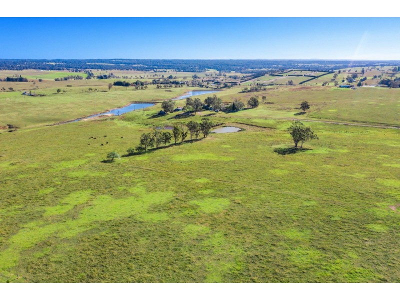 125 Montpelier Drive, The Oaks NSW 2570