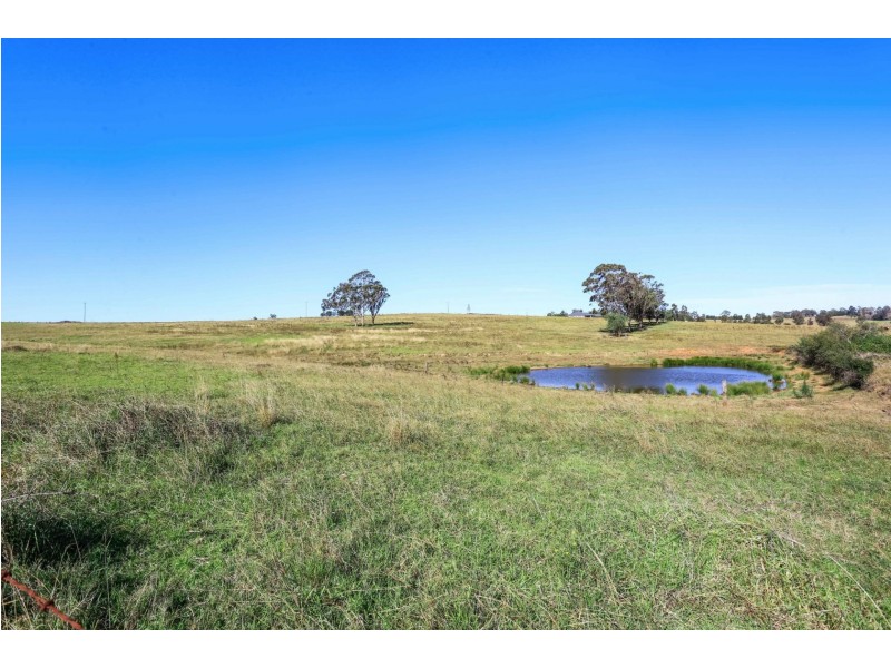 125 Montpelier Drive, The Oaks NSW 2570