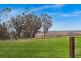 163 Donalds Range Road, Razorback NSW 2571