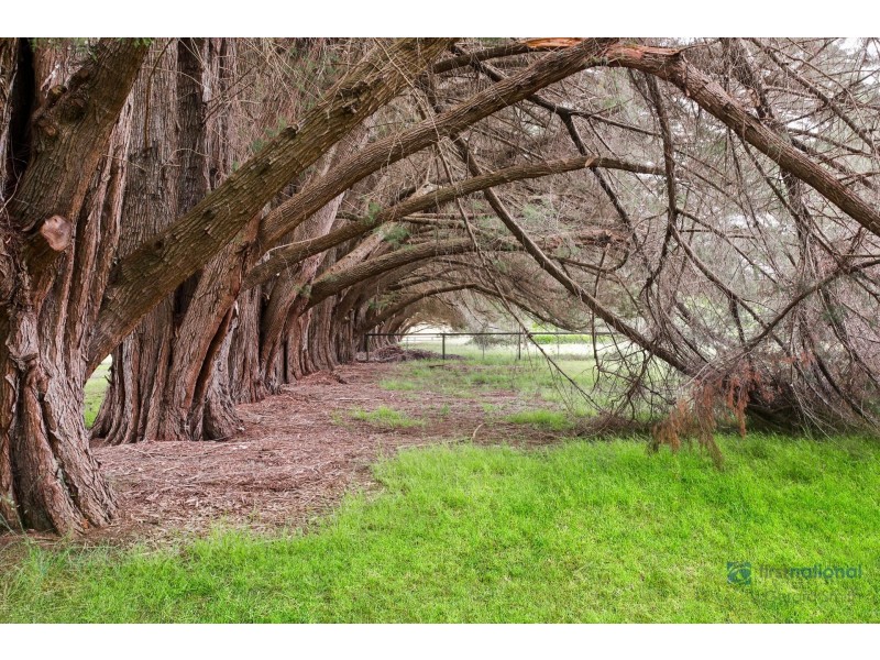 11 Westgrove Road, Exeter NSW 2579