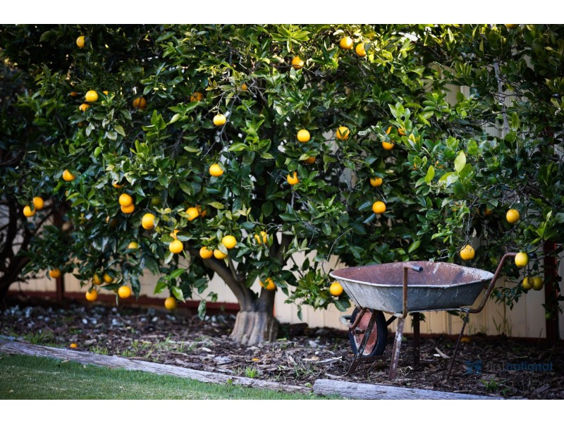 3 Old Southern Road, Yanderra NSW 2574