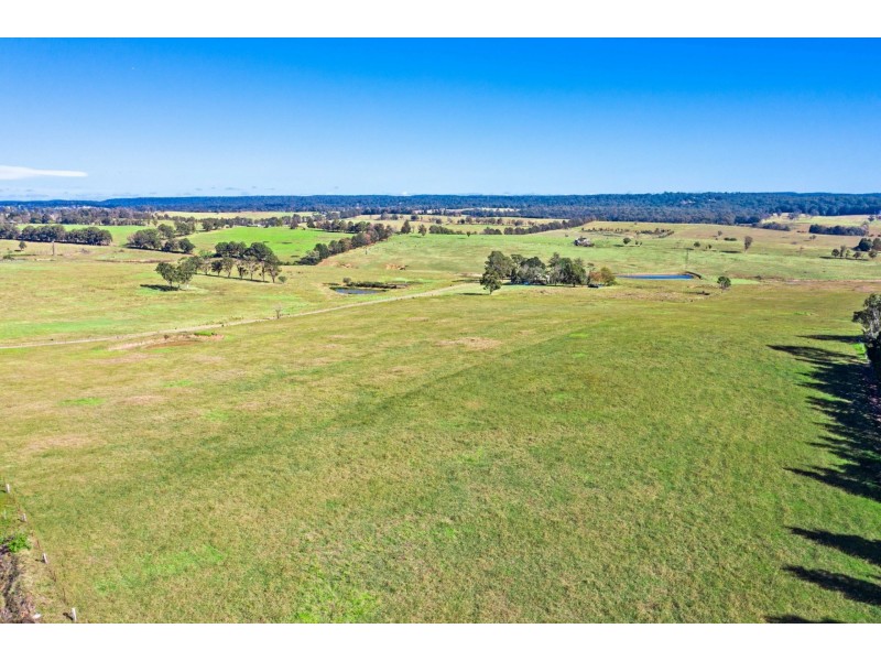 125 Montpelier Drive, The Oaks NSW 2570