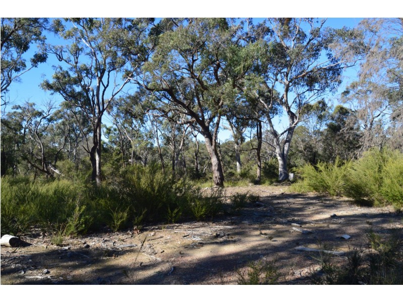 495 Pheasants Nest Road, Pheasants Nest NSW 2574
