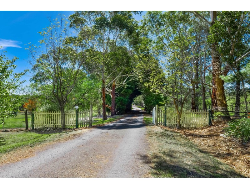 85 Lisa Road, Wilton NSW 2571