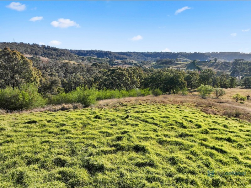 265 Carrolls Road, Menangle NSW 2568