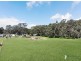 79 Mockingbird Road, Pheasants Nest NSW 2574