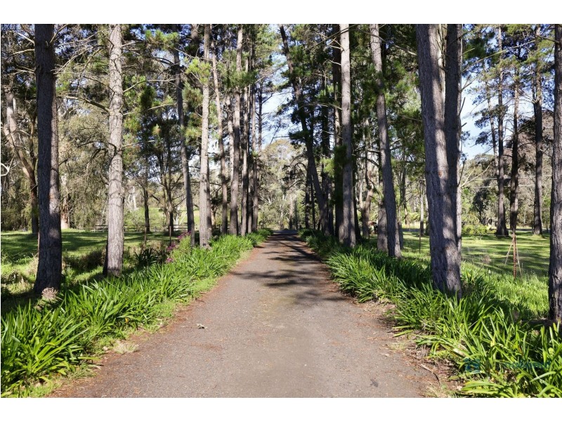 79 Mockingbird Road, Pheasants Nest NSW 2574