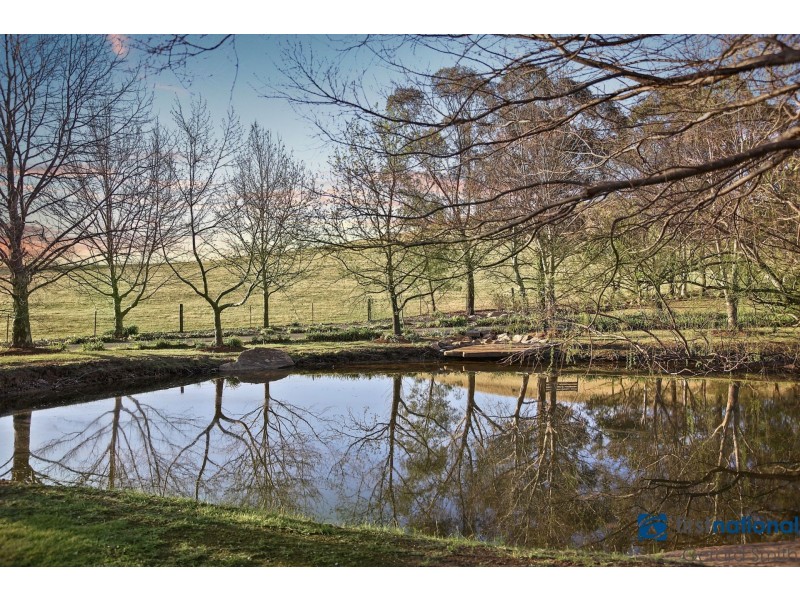 120 Wilton Park Road, Wilton NSW 2571