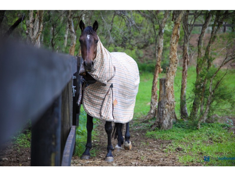 63 Mockingbird Road, Pheasants Nest NSW 2574