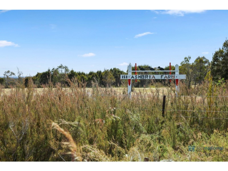 153 Silverstream Road, Lower Boro NSW 2580