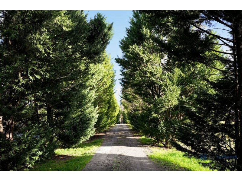 81 Boundary Road, Tahmoor NSW 2573