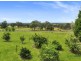 305 Arina Road, Bargo NSW 2574