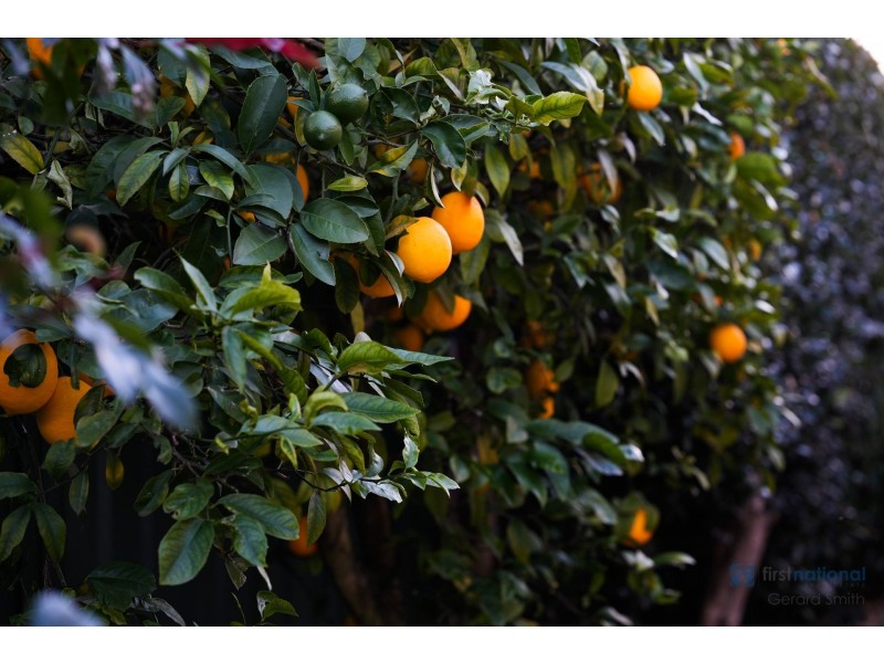 39 Dutton Road, Buxton NSW 2571