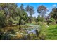 60 Condell Park Road, Wilton NSW 2571
