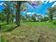 55 Bronzewing Street, Tahmoor NSW 2573
