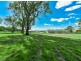 55 Bronzewing Street, Tahmoor NSW 2573