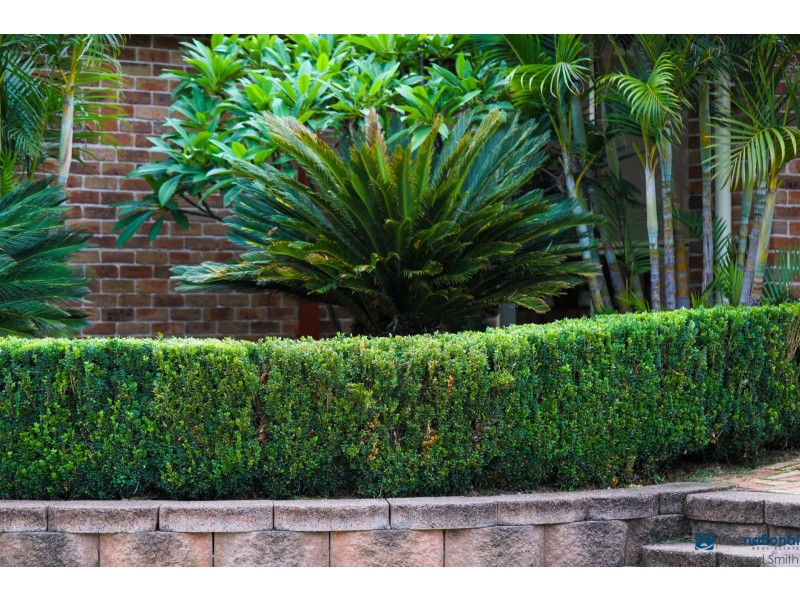 36 Campsie Street, Wilton NSW 2571