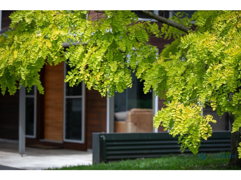 50 Hopson Street, Douglas Park NSW 2569