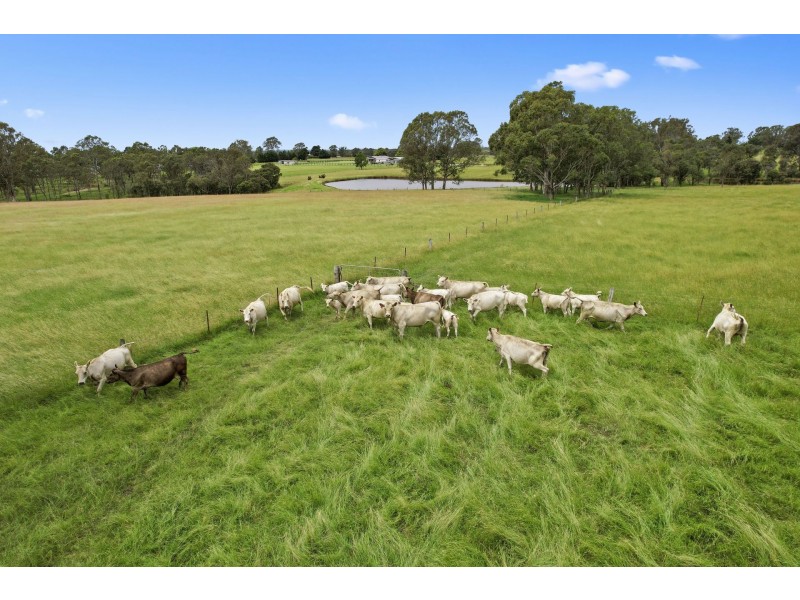 45 Nightingale Road, Pheasants Nest NSW 2574