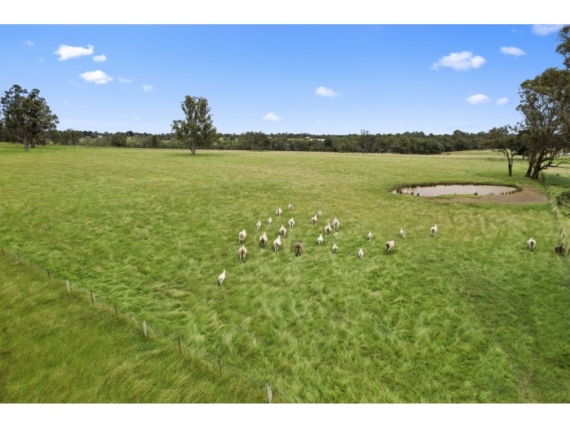 45 Nightingale Road, Pheasants Nest NSW 2574